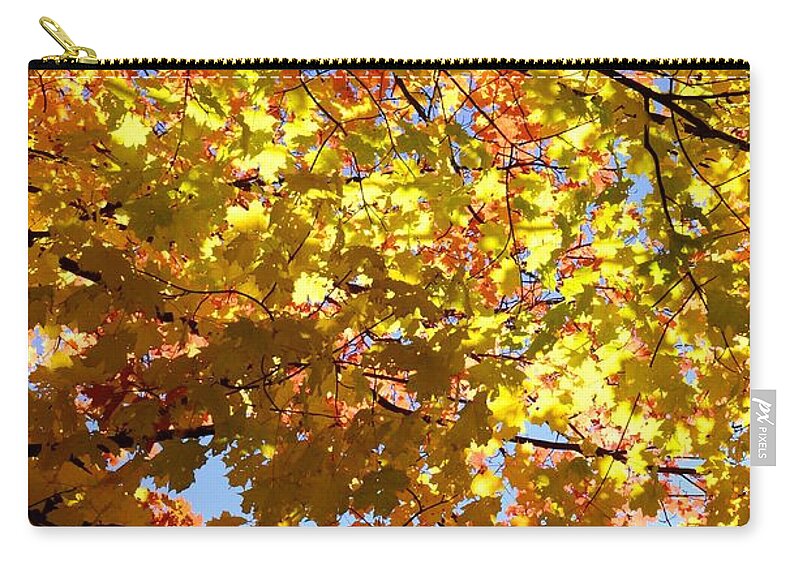 Autumn Zip Pouch featuring the photograph Layers of Autumn by Corinne Rhode