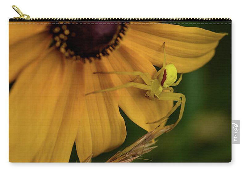 Insects Zip Pouch featuring the photograph Laying Out the Welcome Mat by Ron Dubreuil