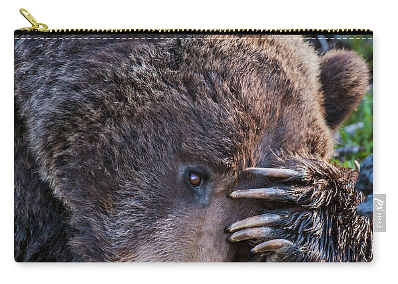 Bear Carry-all Pouch featuring the photograph Lazy Bear by Wesley Aston