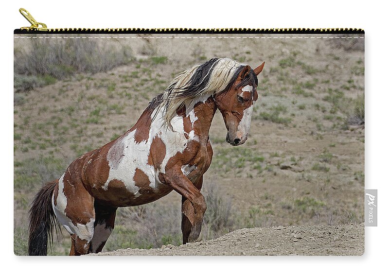 Mustangs Zip Pouch featuring the photograph Leading to Water by Mindy Musick King