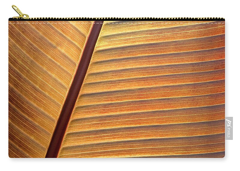 Extreme Art Zip Pouch featuring the photograph Orange Leaf, Guildford County, North Carolina, Photographic Print by Eric Abernethy