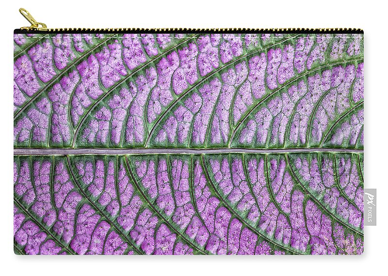 Green Spring Gardens Zip Pouch featuring the photograph Leaf Highway by Georgette Grossman
