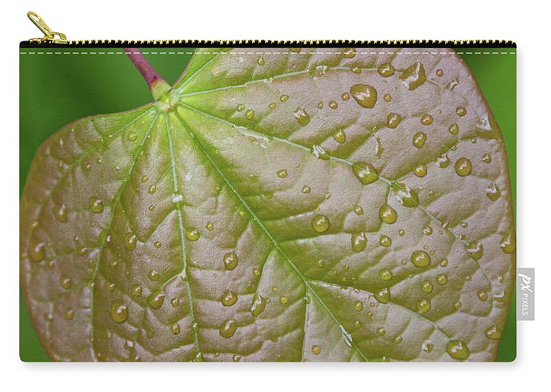 Leaf Man Zip Pouch featuring the photograph Leaf Man by Christy Cox