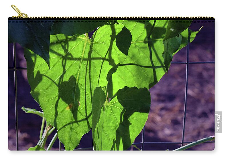 Photograph Zip Pouch featuring the photograph Leaf Shadows by Larah McElroy