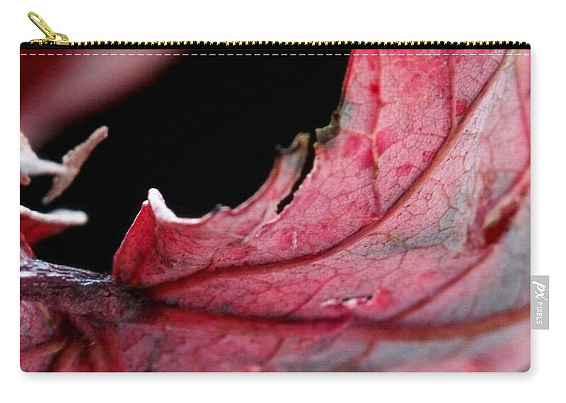 Macro Zip Pouch featuring the photograph Leaf Study I by Lauren Radke