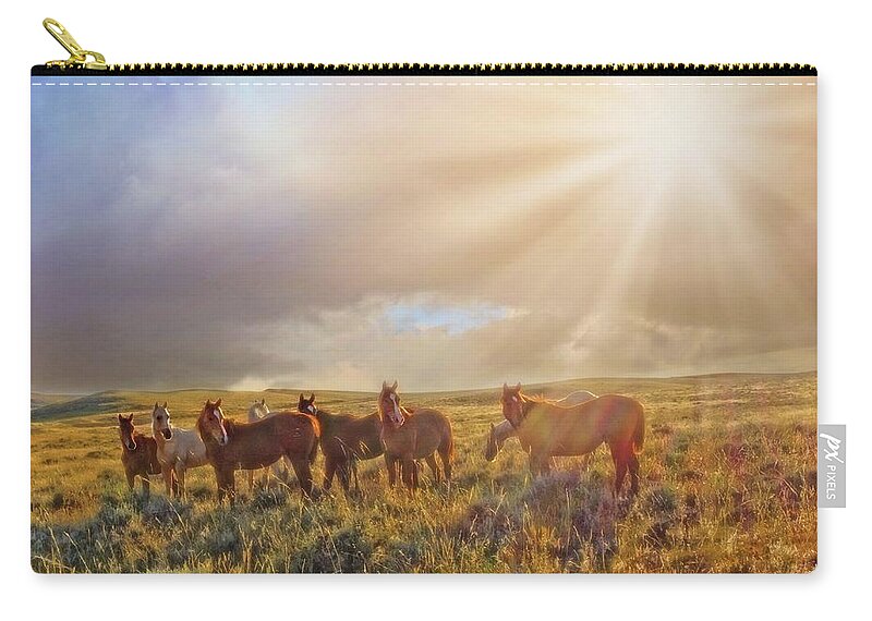 Sun Carry-all Pouch featuring the photograph Led by the Light by Amanda Smith