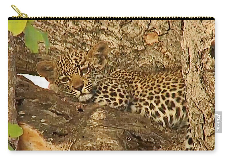 Leopard Zip Pouch featuring the photograph Leopard Cub by Gini Moore