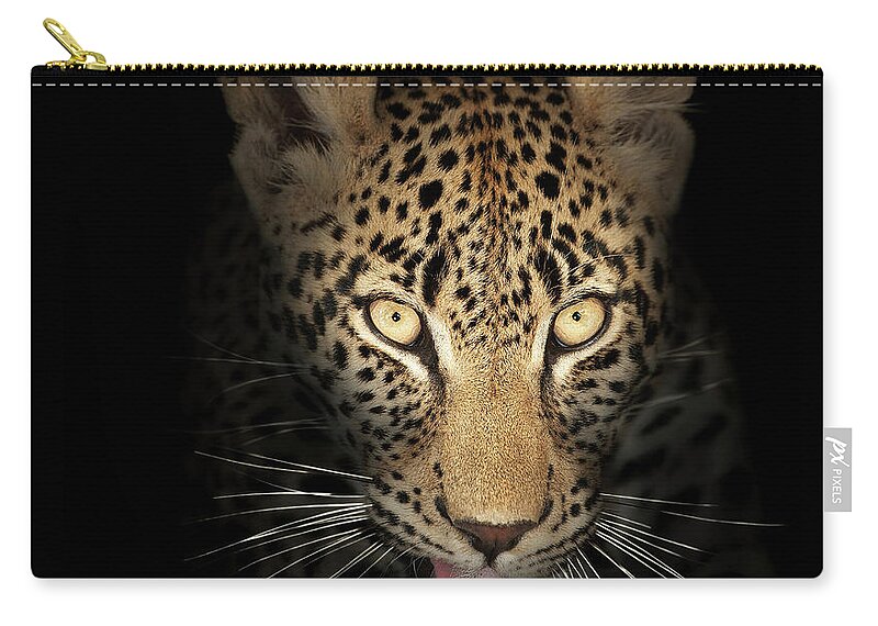 Leopardeyesdarkblackbackgroundwildlifeanimalmammalwildcatpantherapardusspottedfierceintensestarelookpowerfulpredatorcloseupclose-upclosepiercinglicktonguefrontviewafricaphotographonenobodyportraitsafaripawyellownaturedetail015092rs2 Zip Pouch featuring the photograph Leopard In The Dark by Johan Swanepoel