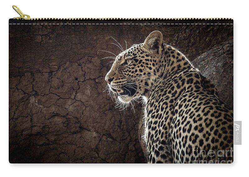 Botswana Zip Pouch featuring the photograph Leopard by Patti Schulze