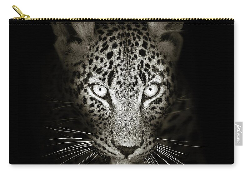 Leopard Zip Pouch featuring the photograph Leopard portrait in the dark by Johan Swanepoel