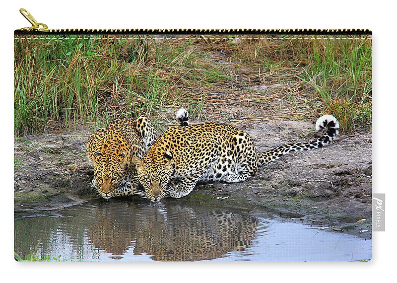 Leopard Carry-all Pouch featuring the photograph Leopards by Richard Krebs