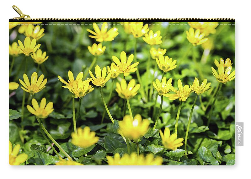 Lesser Celandine Zip Pouch featuring the photograph Lesser Celandine by Nick Bywater