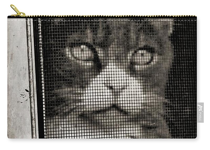 Feline Zip Pouch featuring the photograph Let Me Out by Wendy Gertz