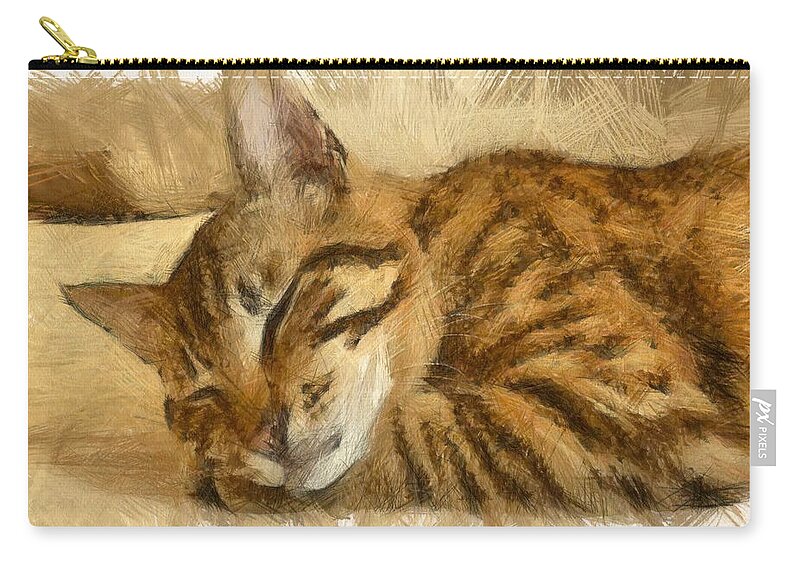Tabby Cat Zip Pouch featuring the drawing Let Sleeping Cats Lie by Taiche Acrylic Art