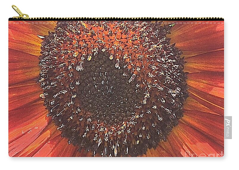 Sunflower Zip Pouch featuring the photograph Let's Get Close Sunflower by Carol Riddle