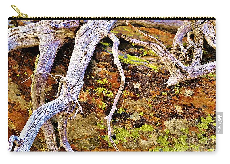 Lichen Zip Pouch featuring the photograph Lichen Art by Michele Penner