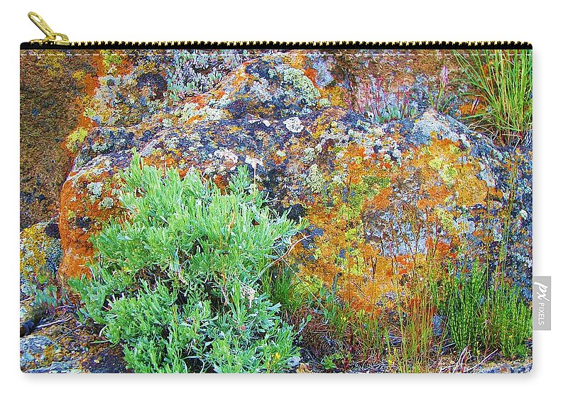 Sagebrush Zip Pouch featuring the photograph Lichen Rainbow  by Michele Penner