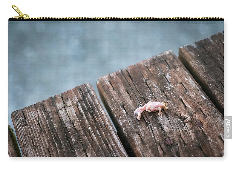 Animals Zip Pouch featuring the photograph Life Abbreviated by Mary Lee Dereske