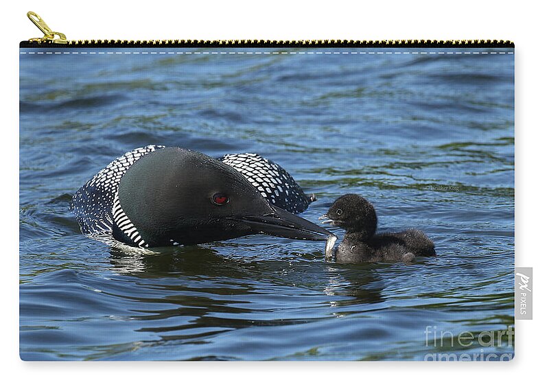 Loon Zip Pouch featuring the photograph Life Lessons by Heather King