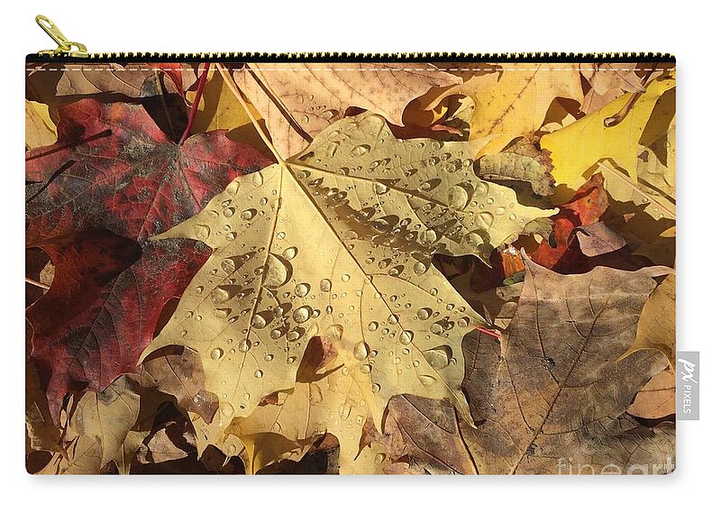 Fall Zip Pouch featuring the photograph Life Never fall-s by Donato Iannuzzi