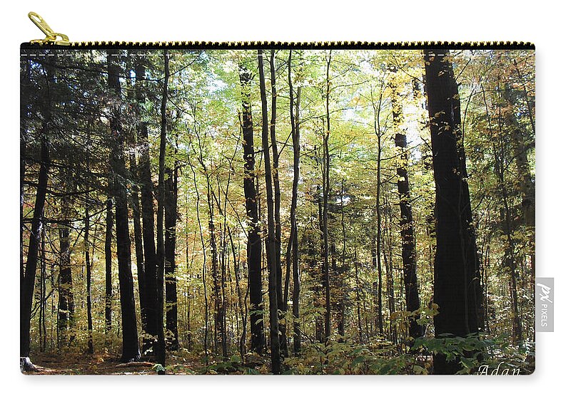 Forest Zip Pouch featuring the photograph Light Among the Trees by Felipe Adan Lerma
