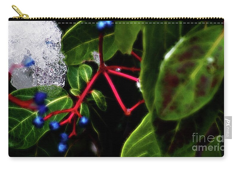 Ice Zip Pouch featuring the photograph Light and Ice by Cameron Wood