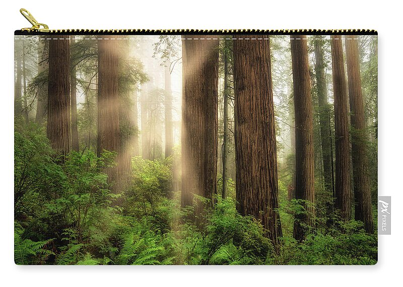 California Zip Pouch featuring the photograph Light Beams by Nicki Frates
