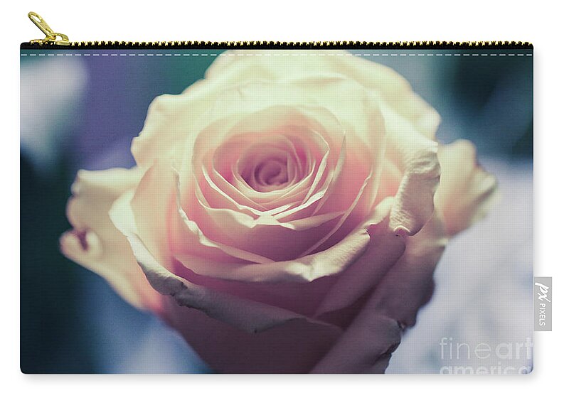 Art Carry-all Pouch featuring the photograph Light Pink Head Of A Rose On Blue Background by Amanda Mohler