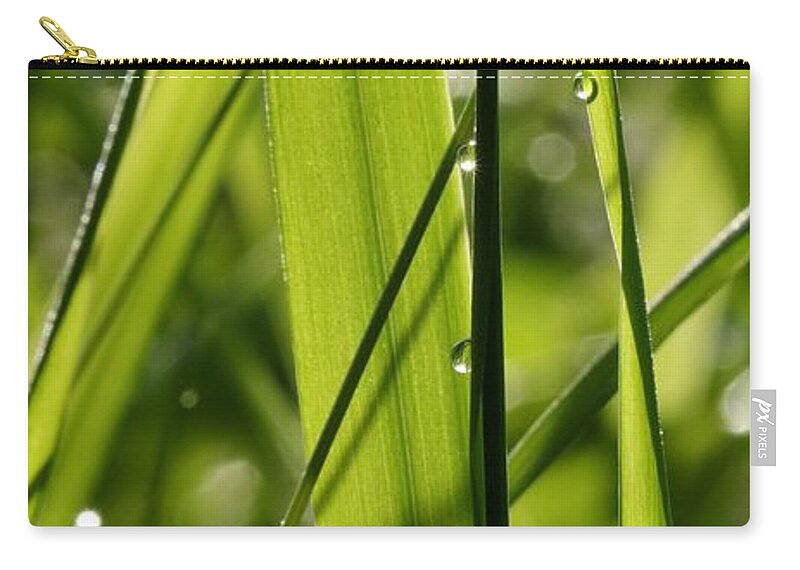 Dew Zip Pouch featuring the photograph Light Play 2 by I'ina Van Lawick
