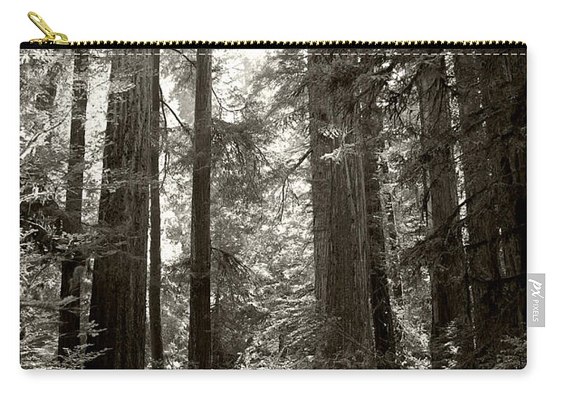 Redwoods Zip Pouch featuring the photograph Light through Redwoods by Kathleen Grace
