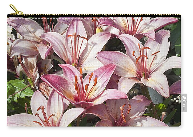 Lily Zip Pouch featuring the photograph Lilies In Pink by Sandra Foster