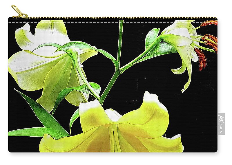 Flower Zip Pouch featuring the photograph Lilies in the sun by Linda Stern