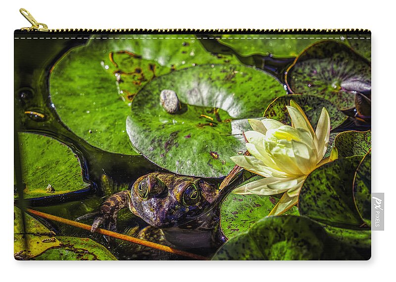 Lily Zip Pouch featuring the photograph Lily and the Frog by Lilia S