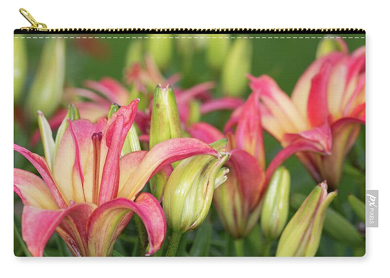 Red And Yellow Lily Zip Pouch featuring the photograph Lily Display by Steve Purnell