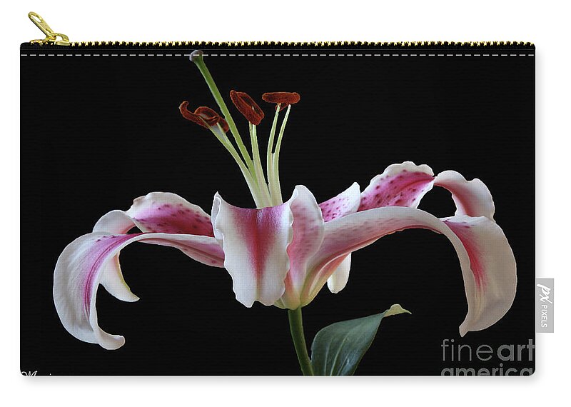 Flower Zip Pouch featuring the photograph Lily by Mariarosa Rockefeller