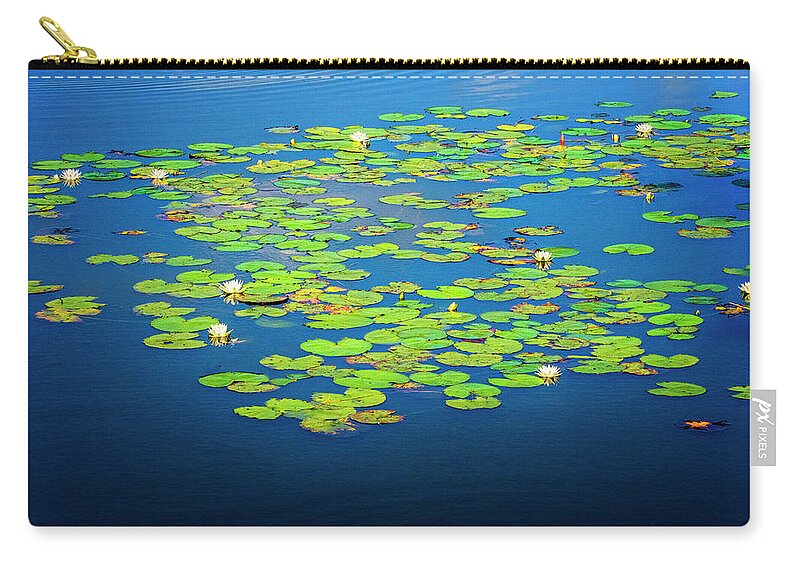 North Port Florida Carry-all Pouch featuring the photograph Lily Pads by Tom Singleton