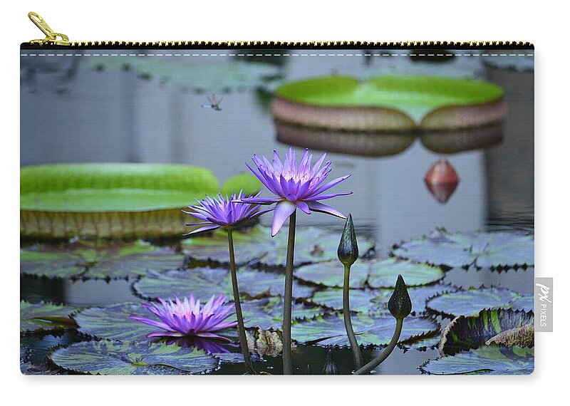 Lily Pond Wonders Zip Pouch featuring the photograph Lily Pond Wonders by Maria Urso