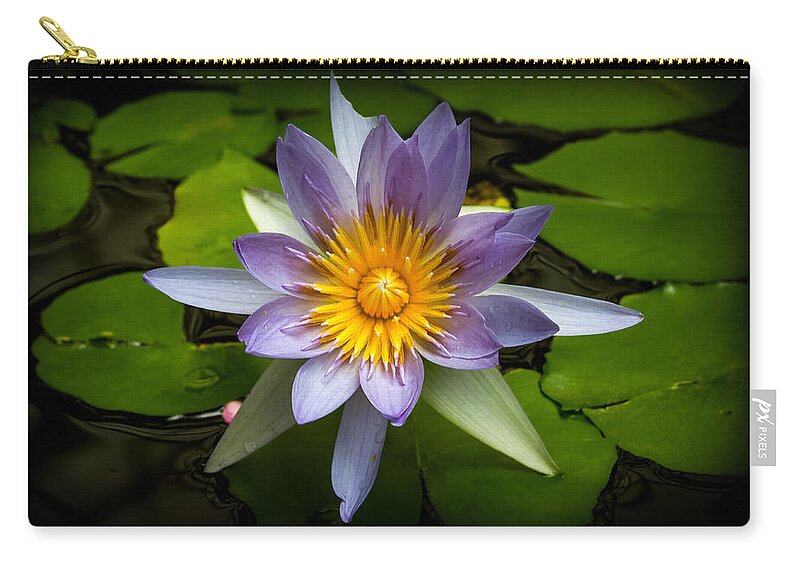 Bonnie Follett Carry-all Pouch featuring the photograph Lily Queen of the Pond by Bonnie Follett