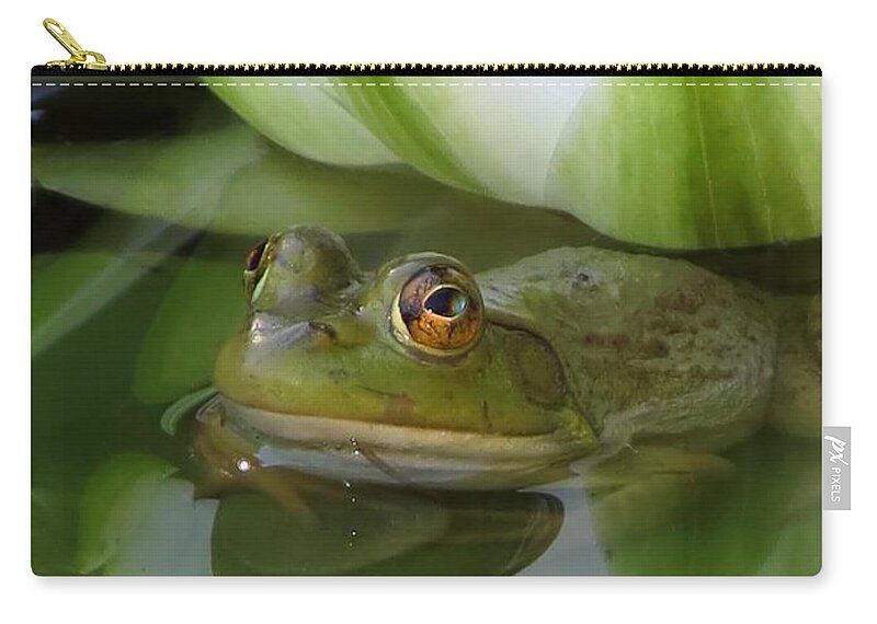 Animal Zip Pouch featuring the photograph Lilyfrog - Frog with Water Lily by MTBobbins Photography