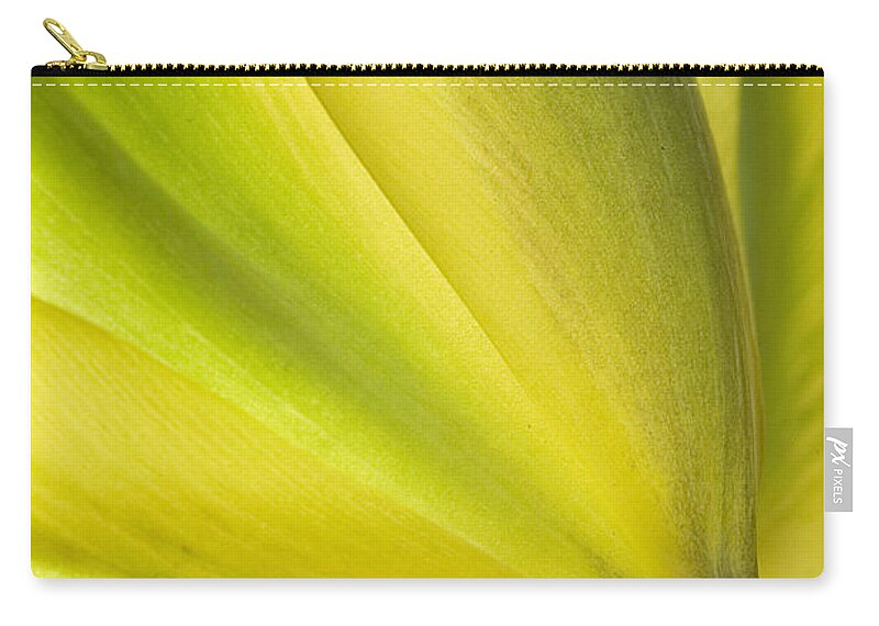Tulip Zip Pouch featuring the photograph Lime Tulip by Jill Love
