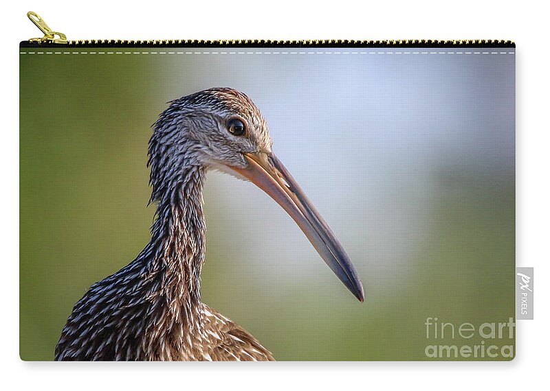 Limpkin Zip Pouch featuring the photograph Limpkin Portrait by Tom Claud