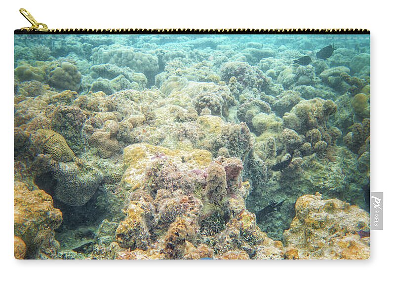 Coral Reef Carry-all Pouch featuring the photograph Linkia Love by Becqi Sherman