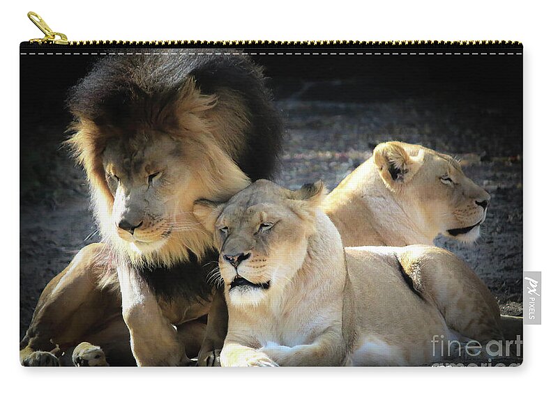 Lions Zip Pouch featuring the photograph Lion Pride Memphis Zoo by Veronica Batterson