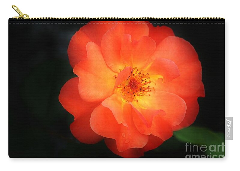 Flower Zip Pouch featuring the photograph Lite up by Merle Grenz