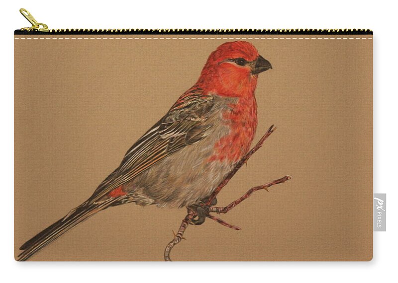 Bird Zip Pouch featuring the drawing Little Bird by Michelle Miron-Rebbe
