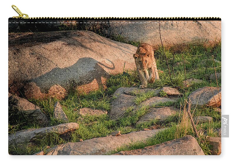 Serengeti Zip Pouch featuring the photograph Little Cat Big Shadow by Janis Knight