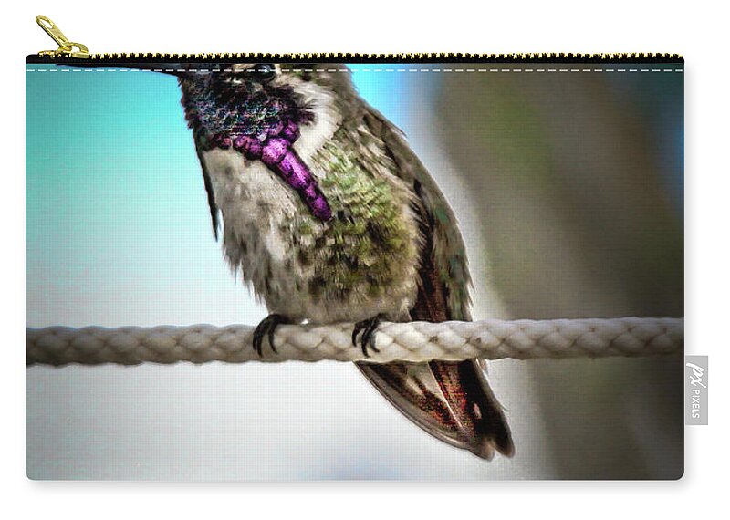 Birds Zip Pouch featuring the photograph Little Costa's by Robert Bales