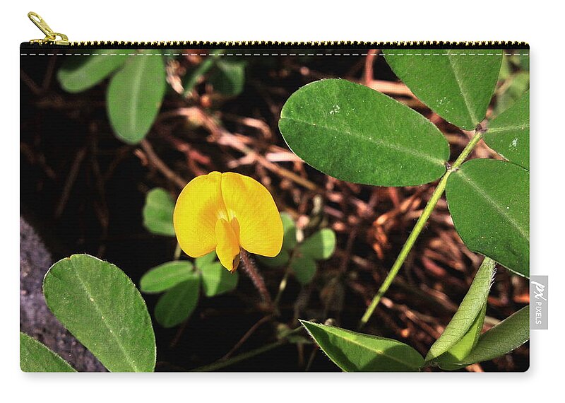 Orchid Zip Pouch featuring the photograph Little Flower by Cesar Vieira