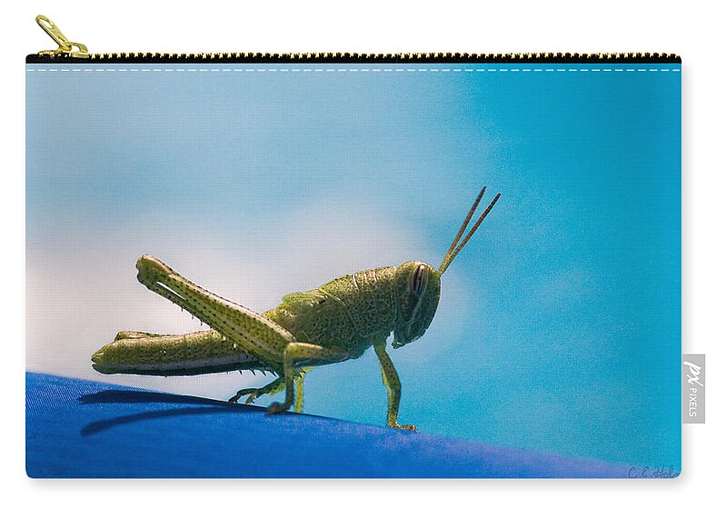Grasshopper Zip Pouch featuring the photograph Little Grasshopper by Christopher Holmes