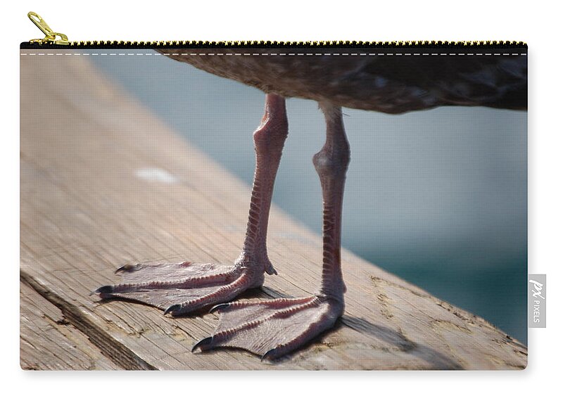 Bird Zip Pouch featuring the photograph Little Legs by Maria Aduke Alabi